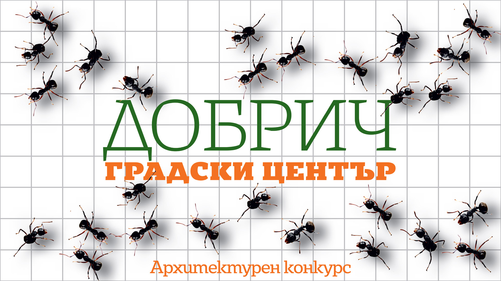 Конкурс за централната градска част на Добрич